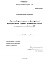 Изучение биоразнообразия азотфиксирующих прокариот кислых торфяных почв на основе анализа последовательностей генов nifH - тема диссертации по биологии, скачайте бесплатно