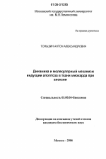 Динамика и молекулярный механизм индукции апоптоза в ткани миокарда при аноксии - тема диссертации по биологии, скачайте бесплатно