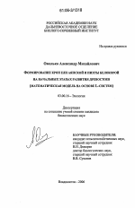 Формирование крон ели аянской и пихты белокорой на начальных этапах развития древостоев - тема диссертации по биологии, скачайте бесплатно