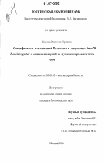 Специфичность встраиваний P элемента в локус генов бтш70 D. melanogaster и влияние инсерций на функционирование этих генов - тема диссертации по биологии, скачайте бесплатно