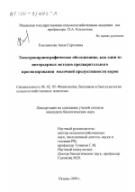 Электрокардиографическое обследование, как один из интерьерных методов предварительного прогнозирования молочной продуктивности коров - тема диссертации по сельскому хозяйству, скачайте бесплатно