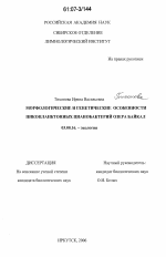 Морфологические и генетические особенности пикопланктонных цианобактерий озера Байкал - тема диссертации по биологии, скачайте бесплатно