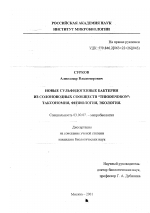 Новые сульфидогенные бактерии из солоноводных сообществ "Thiodendron" - тема диссертации по биологии, скачайте бесплатно