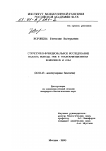 Структурно-функциональное исследование канала выхода РНК в транскрипционном комплексе E. coli - тема диссертации по биологии, скачайте бесплатно