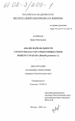 Анализ вариабельности структуры кластера рибосомных генов рыжего таракана - тема диссертации по биологии, скачайте бесплатно