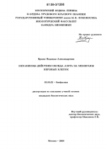 Механизмы действия оксида азота на мембраны нервных клеток - тема диссертации по биологии, скачайте бесплатно