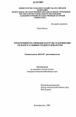 Продуктивность гибридов кукурузы селекции НИИ РФ и КНР в условиях Среднего Приамурья - тема диссертации по сельскому хозяйству, скачайте бесплатно