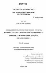 Определение и анализ пространственной структуры рибосомного белка L1 из бактерии Thermus thermophilus в комплексе с фрагментом матричной РНК при разрешении 2,6Å - тема диссертации по биологии, скачайте бесплатно