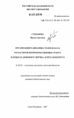 Организация и динамика телец кахала и кластеров интерхроматиновых гранул в ооцитах домового сверчка Acheta domesticus - тема диссертации по биологии, скачайте бесплатно