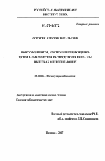 Поиск ферментов, контролирующих ядерно-цитоплазматическое распределение белка YB-1 в клетках млекопитающих - тема диссертации по биологии, скачайте бесплатно