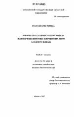 Влияние трассы нефтетрубопровода на позвоночных животных ксерофитных лесов Западного Кавказа - тема диссертации по биологии, скачайте бесплатно