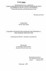 Создание генетической коллекции подсолнечника по признаку эректоидный тип листьев - тема диссертации по сельскому хозяйству, скачайте бесплатно