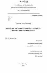 Механизмы токсического действия глутамата в нейронах коры головного мозга - тема диссертации по биологии, скачайте бесплатно