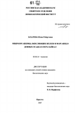 Микроорганизмы, окисляющие железо и марганец в донных осадках озера Байкал - тема диссертации по биологии, скачайте бесплатно