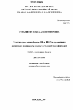 Участие адапторных белков RIL и TRIP6 в организации актинового цитоскелета и злокачественной трансформации - тема диссертации по биологии, скачайте бесплатно