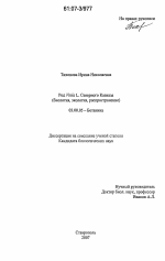 Род Viola L. Северного Кавказа - тема диссертации по биологии, скачайте бесплатно