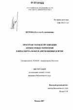 Пространственная организация хромосомных территорий в ядрах нормальных и анеуплоидных клеток - тема диссертации по биологии, скачайте бесплатно