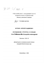 Исследование структуры и функции гена Trithorax-like Drosophila melanogaster - тема диссертации по биологии, скачайте бесплатно