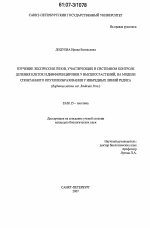 Изучение экспрессии генов, участвующих в системном контроле деления клеток и дифференцировки у высших растений, на модели спонтанного опухолеобразования у инбредных линий редиса (Raphanus sativus var. Radicula Pers.) - тема диссертации по биологии, скачайте бесплатно