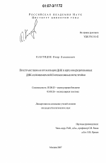 Пространственная организация ДНК в ядре и индуцированные ДНК-топоизомеразой II хромосомные перестройки - тема диссертации по биологии, скачайте бесплатно