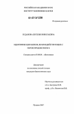 Идентификация белков, взаимодействующих с пероксиредоксином 6 - тема диссертации по биологии, скачайте бесплатно