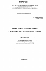 Анализ транспортера серотонина с помощью сайт-специфических антител - тема диссертации по биологии, скачайте бесплатно