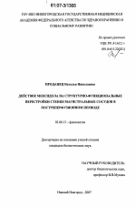 Действие мексидола на структурно-функциональные перестройки стенки магистральных сосудов в постреперфузионном периоде - тема диссертации по биологии, скачайте бесплатно