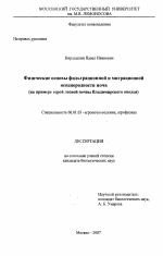 Физические основы фильтрационной и миграционной неоднородности почв - тема диссертации по сельскому хозяйству, скачайте бесплатно