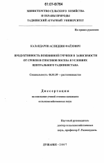 Продуктивность пожнивной гречихи в зависимости от сроков и способов посева в условиях Центрального Таджикистана - тема диссертации по сельскому хозяйству, скачайте бесплатно