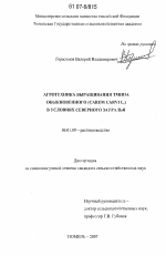 Агротехника выращивания тмина обыкновенного (Carum carvi L.) в условиях Северного Зауралья - тема диссертации по сельскому хозяйству, скачайте бесплатно