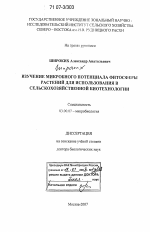 Изучение микробного потенциала фитосферы растений для использования в сельскохозяйственной биотехнологии - тема диссертации по биологии, скачайте бесплатно