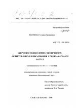 Изучение молекулярно-генетических аспектов опухолеобразования у редиса Raphanus sativus - тема диссертации по биологии, скачайте бесплатно