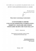 Гетерохронии в развитии соматосенсорной коры головного мозга мышей: исследование динамики и топографии экспрессии трансгена 6А-99 - тема диссертации по биологии, скачайте бесплатно