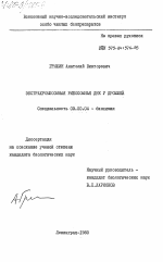 Экстрахромосомная рибосомная ДНК у дрожжей - тема диссертации по биологии, скачайте бесплатно