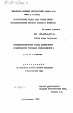 Морфофизиологические основы формирования продуктивности тритикале Ставропольский I - тема диссертации по биологии, скачайте бесплатно