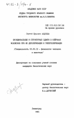 Функциональные и структурные сдвиги в нейронах моллюсков при их деполяризации и гиперполяризации - тема диссертации по биологии, скачайте бесплатно