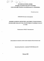 Влияние кадмия на морфогенез, анатомию стебля и процесс регенерации льна-долгунца из клеточных и тканевых культур in vitro - тема диссертации по биологии, скачайте бесплатно