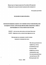 Морфофункциональное состояние коры большого мозга крыс при моделировании синдрома Рейе и коррекции его гепатопротекторами - тема диссертации по биологии, скачайте бесплатно