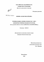 Терминальные районы хромосом у двух близкородственных видов бурозубок, Sorex granarius и Sorex araneus (Soricidae, eulipotyphla) - тема диссертации по биологии, скачайте бесплатно