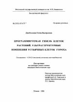 Программируемая гибель клеток растений. Ультраструктурные изменения устьичных клеток гороха - тема диссертации по биологии, скачайте бесплатно