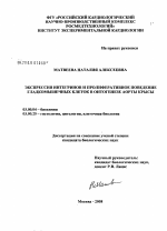 Экспрессия интегринов и пролиферативное поведение гладкомышечных клеток в онтогенезе аорты крысы - тема диссертации по биологии, скачайте бесплатно