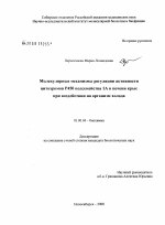 Молекулярные механизмы регуляции активности цитохромов Р450 подсемейства 1А в печени крыс при воздействии на организм холода - тема диссертации по биологии, скачайте бесплатно