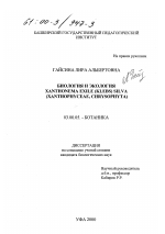 Биология и экология Xanthonema exile (klebs) silva - тема диссертации по биологии, скачайте бесплатно