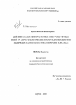 Действие слабых низкочастотных электромагнитных полей на морфо-биологические показатели гидробионтов - тема диссертации по биологии, скачайте бесплатно