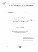 Роль сенсорных РНК в регуляции биосинтеза рибофлавина у Escherichia coli и Bacillus subtilis - тема диссертации по биологии, скачайте бесплатно