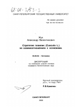 Стратегия повилик (Cuscuta L. ) во взаимоотношениях с хозяевами - тема диссертации по биологии, скачайте бесплатно