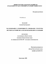 Наследование и изменчивость признаков структуры листьев растений риса и их использование в селекции - тема диссертации по сельскому хозяйству, скачайте бесплатно