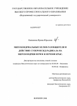 Митохондриальные белки-разобщители и действие супероксид-радикала на митохондрии почек и печени крыс - тема диссертации по биологии, скачайте бесплатно