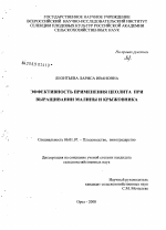 Эффективность применения цеолита при выращивании малины и крыжовника - тема диссертации по сельскому хозяйству, скачайте бесплатно