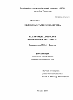 Роль мутации Lanceolata в формировании листа томата - тема диссертации по биологии, скачайте бесплатно